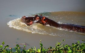 Montebelo Gorongosa Lodge & Safari